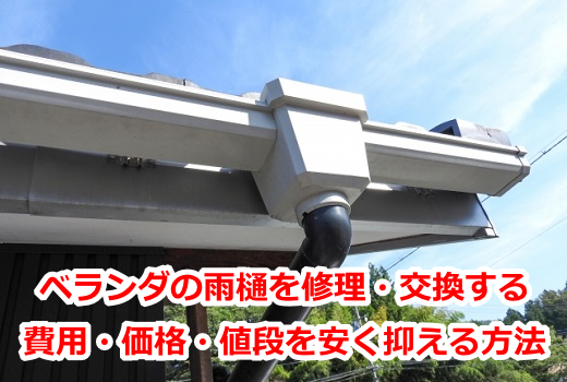 �x�����_�̉J����C���E���������p�E���i�E�l�i�������}������@