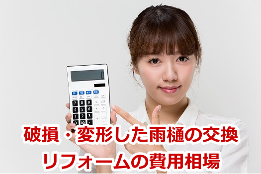 �j���E�ό`�����J��̌������t�H�[���̔�p����