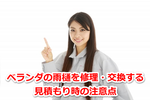 �x�����_�̉J����C���E�������錩�ς��莞�̒��ӓ_