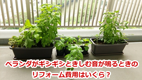 �x�����_���M�V�M�V�Ƃ����މ�����Ƃ��̃��t�H�[����p�͂�����H