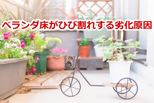 �x�����_�̏����Ђъ��ꂷ��򉻌���