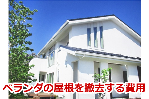 �x�����_�̉�����P�������p